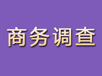 桦甸商务调查